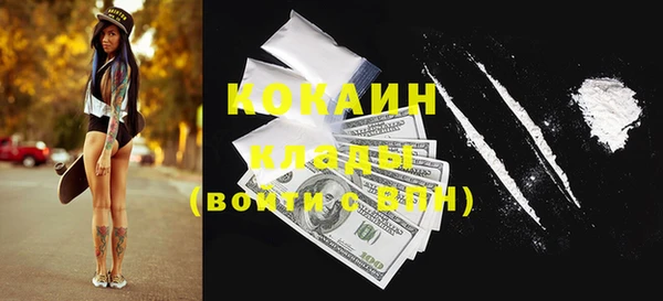 дживик Навашино