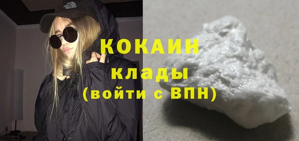 твердый Надым