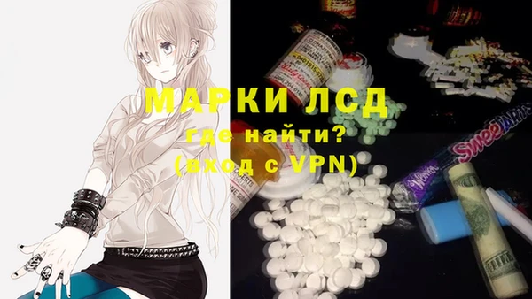 твердый Надым