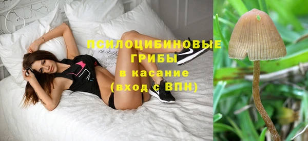 дживик Навашино
