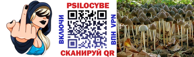Псилоцибиновые грибы Psilocybe  купить   Сосногорск 